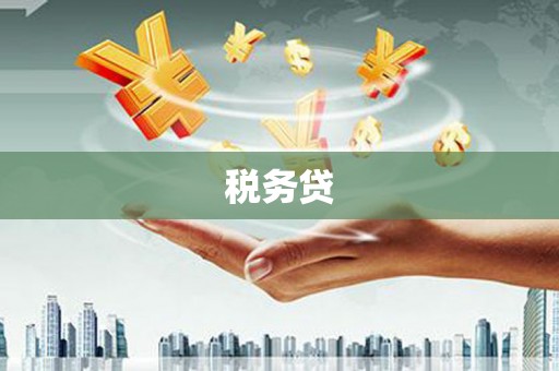北京税务贷