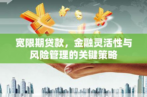 北京宽限期贷款，金融灵活性与风险管理的关键策略