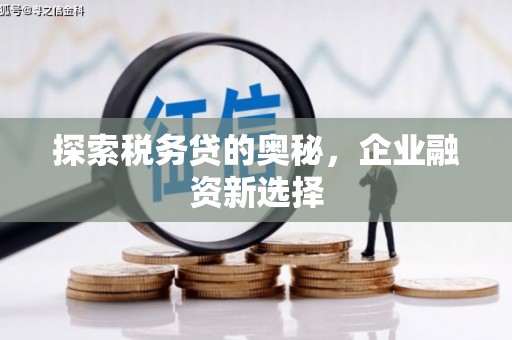 北京探索税务贷的奥秘，企业融资新选择