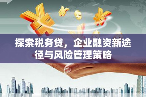 北京探索税务贷，企业融资新途径与风险管理策略