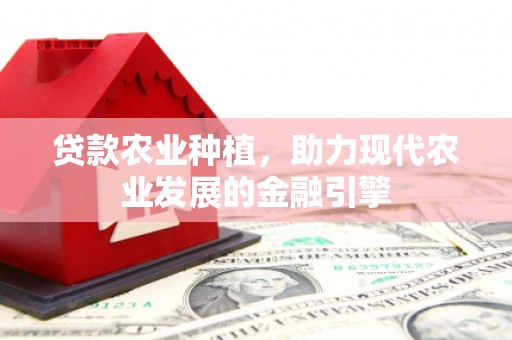 北京贷款农业种植，助力现代农业发展的金融引擎
