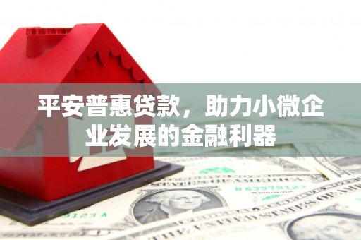 北京平安普惠贷款，助力小微企业发展的金融利器