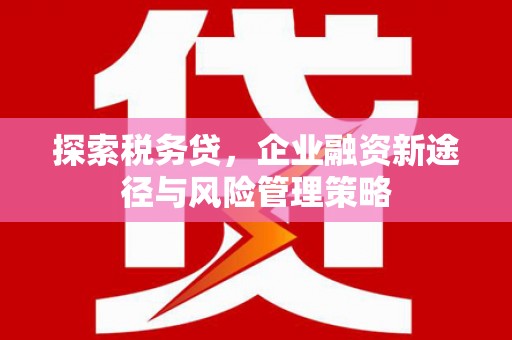 北京探索税务贷，企业融资新途径与风险管理策略