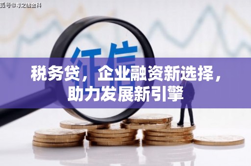 北京税务贷，企业融资新选择，助力发展新引擎