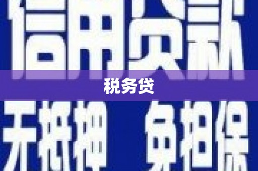 北京税务贷