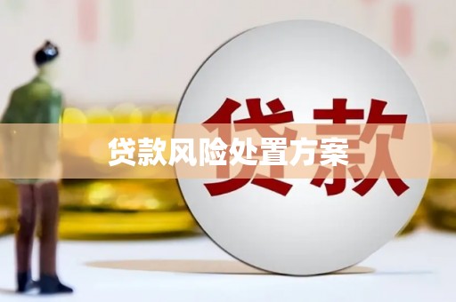 北京贷款风险处置方案