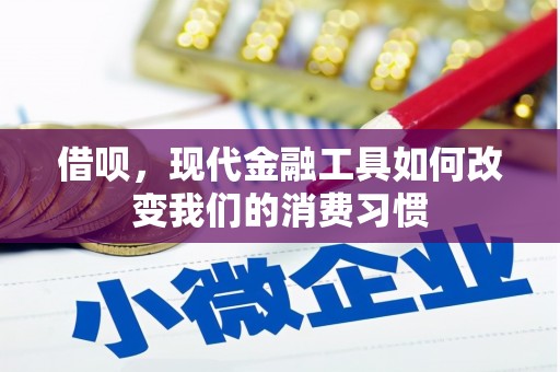 北京借呗，现代金融工具如何改变我们的消费习惯