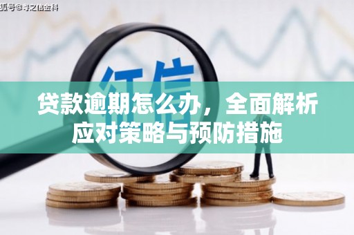 北京贷款逾期怎么办，全面解析应对策略与预防措施