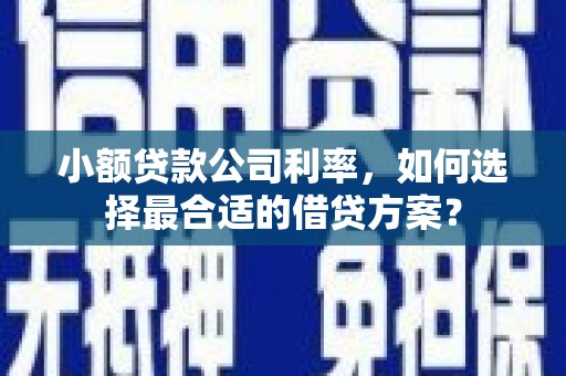 北京小额贷款公司利率，如何选择最合适的借贷方案？