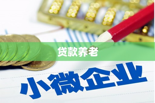 北京贷款养老