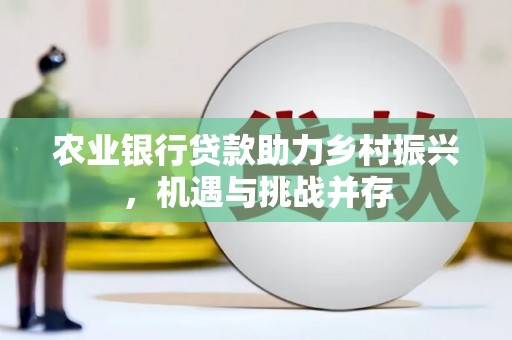 北京农业银行贷款助力乡村振兴，机遇与挑战并存