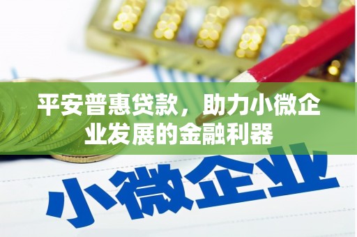 北京平安普惠贷款，助力小微企业发展的金融利器