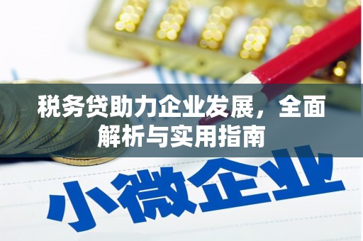 北京税务贷助力企业发展，全面解析与实用指南