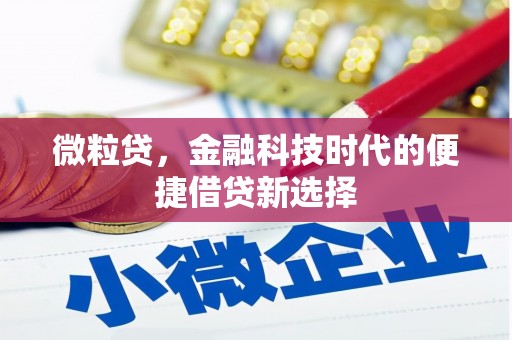 北京微粒贷，金融科技时代的便捷借贷新选择