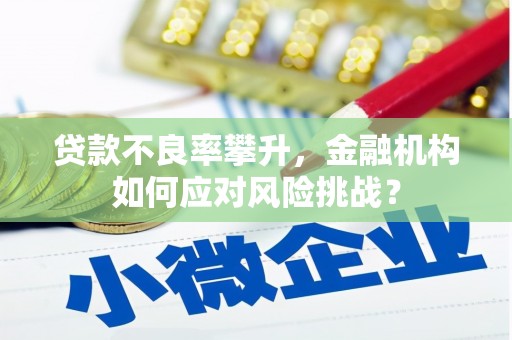 北京贷款不良率攀升，金融机构如何应对风险挑战？