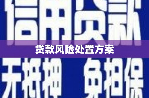 北京贷款风险处置方案