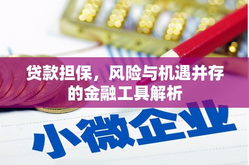 北京贷款担保，风险与机遇并存的金融工具解析