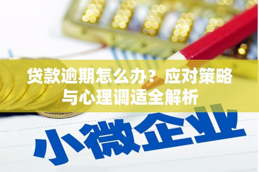 北京贷款逾期怎么办？应对策略与心理调适全解析