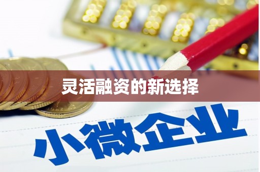 北京灵活融资的新选择