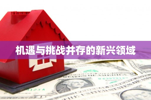 北京机遇与挑战并存的新兴领域