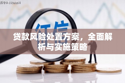 北京贷款风险处置方案，全面解析与实施策略
